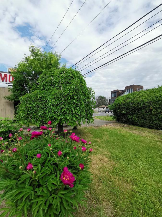 Motel Sainte Catherine Екстер'єр фото